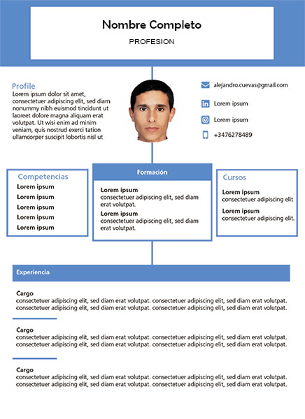 plantilla currículum tutor